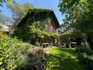 Zahrada ubytování Haus Höhr
