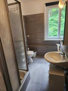 a bathroom with a shower and a sink and a toilet at Monteurwohnungen Lerbachtal in Osterode