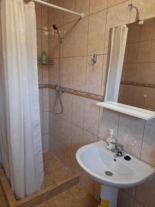 a bathroom with a sink and a shower with a shower curtain at Casa cu flori in Bîrsău