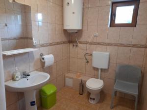 a small bathroom with a sink and a toilet at Casa cu flori in Bîrsău