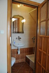 a bathroom with a sink and a toilet and a mirror at Kapio - domki, pokoje, apartament in Bóbrka