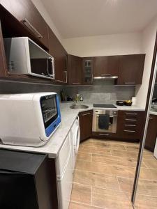 Kuchyň nebo kuchyňský kout v ubytování Apartmán v srdci Bratislavy