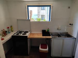 Kuchyň nebo kuchyňský kout v ubytování Guesthouse Franko