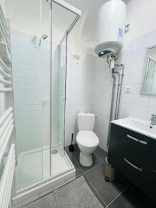 a bathroom with a shower and a toilet and a sink at Le petit meublé hyper Centre in Orléans