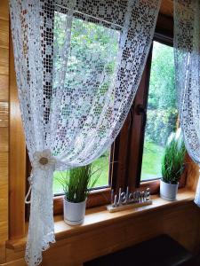 a window with potted plants on a window sill at Nowoczesny Domek Góralski in Kielce +23 photos