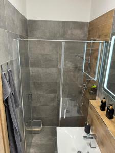 a bathroom with a shower and a white sink at Apartmány Rak Jestřábí in Černá v Pošumaví +11 photos