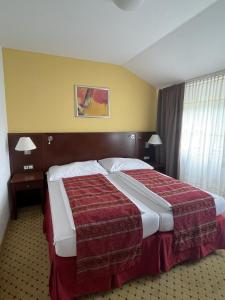 Postel nebo postele na pokoji v ubytování Wellness Hotel Svachovka