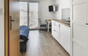 Η κουζίνα ή μικρή κουζίνα στο Nice Apartment In Jastarnia With Wifi