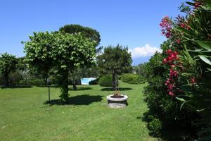 Κήπος έξω από το park residence bellavista