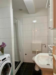 a bathroom with a washing machine and a sink at Apartments Ivana in Zubovići +71 photos