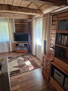 a living room with a flat screen tv and a couch at Kalda Puhkemaja in Helmküla +6 photos