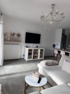 a living room with a couch and a flat screen tv at Appartement au centre de Villeurbanne in Villeurbanne