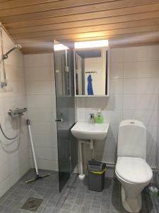 a bathroom with a toilet and a sink at Ämmän Hotelli in Suomussalmi +47 photos