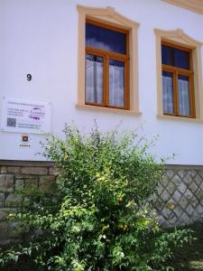 Budova, v ktorej sa penzión nachádza