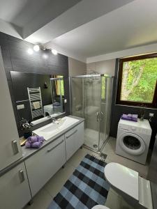 萨拉热窝Plavo oko的带水槽和洗衣机的浴室
