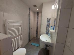 a small bathroom with a toilet and a sink at Ferienquartier Trassenheide 1 in Trassenheide