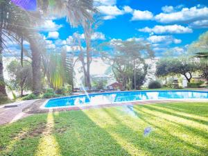 a swimming pool in a yard with palm trees at Hotel 247 @ White River in White River