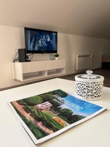 TV a/nebo společenská místnost v ubytování Apartman 24