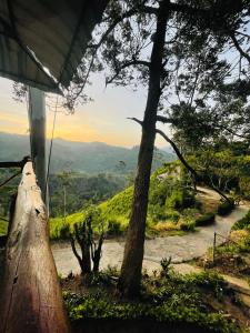 Fotografie z fotogalerie ubytování Mountain vibe ella v destinaci Ella