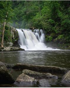 Gambar di galeri bagi Peace By the Lake di Sevierville