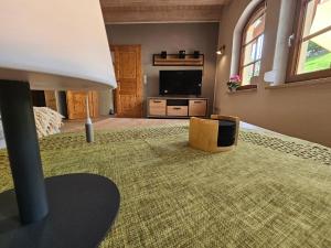 TV a/nebo společenská místnost v ubytování Apartments Zur alten Scheune Göringen