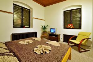 TV o dispositivi per l'intrattenimento presso Hotel Kovarna