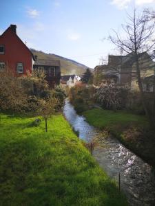 Galeriebild der Unterkunft Moselträubchen in Enkirch