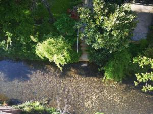 Galeriebild der Unterkunft Moselträubchen in Enkirch