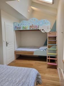a childs bedroom with a bunk bed and a ladder at Charmante maison totalement rénovée in Saint-Géron +24 photos