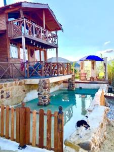 a dog standing in a pool in front of a house at L Ksar, mitten in schönster Natur in Sidi Jedidi