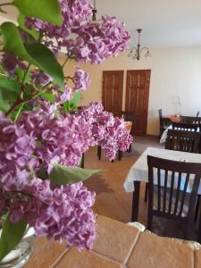 Fotografia z galérie ubytovania Harmónia Wellness Villa v destinácii Szilvásvárad + 21 fotografií