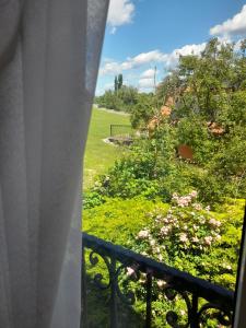 Vonkajšia záhrada v ubytovaní Harmónia Wellness Villa