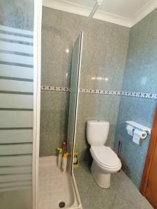 a bathroom with a toilet and a shower stall at La Casa de Marta in Ribeira de Pena