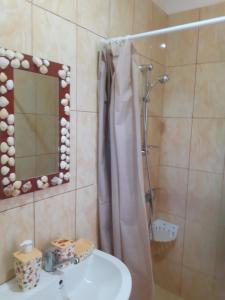 a bathroom with a sink and a shower with a mirror at Vila Hipo in Venus +37 photos