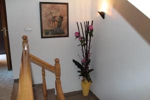 Fotografie z fotogalerie ubytování Hostal La Barretina v destinaci Figueres