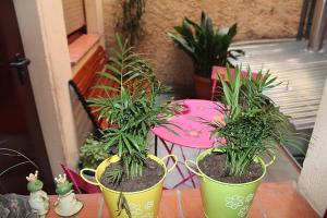 a group of plants in pots on a patio at Hostal La Barretina in Figueres