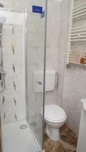 a bathroom with a toilet and a shower at FRATU Apartment in Făgăraş