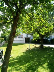 two trees in a yard with a house in the background at Chambre individuelle dans un grand appartement 3 pièces in Rueil-Malmaison