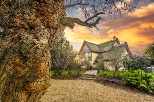 an old house with a tree in front of it at mulberry house in Flordon