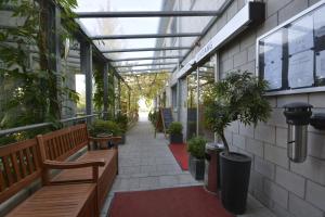 Zahrada ubytování Hotel Nord