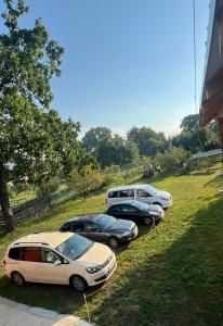 Gallery image of Pensiunea Simone in Cîrţişoara