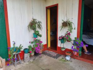 Fotografie z fotogalerie ubytování Finca La Carolina v destinaci Palocabildo