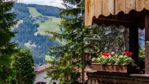 Příroda nedaleko bed and breakfast