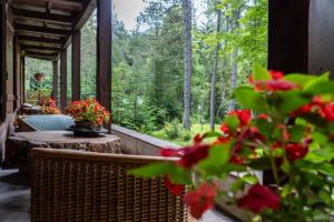 Zahrada ubytování B&B Villa La Bercia