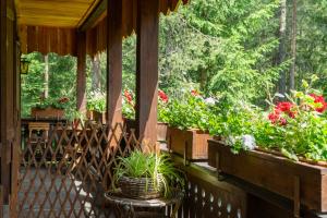 Zahrada ubytování B&B Villa La Bercia