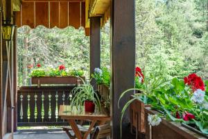 Zahrada ubytování B&B Villa La Bercia