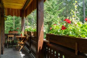 Zahrada ubytování B&B Villa La Bercia