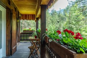 Zahrada ubytování B&B Villa La Bercia