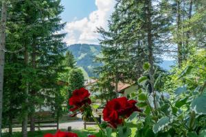 Příroda nedaleko bed and breakfast