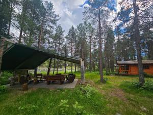 Zahrada ubytování Tørfoss Gård, Hytte utleie, Campingvogn og bobil plasser